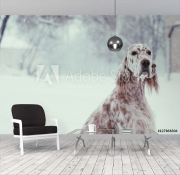 Picture of Christmas spotty white Setter portrait sitting in the winter city park on snowy background in soft focus